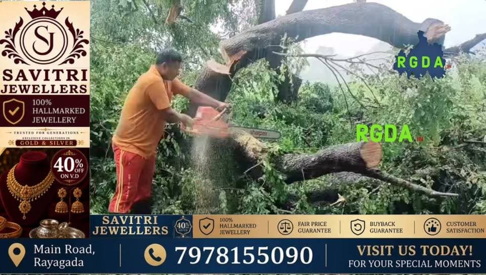 ରାସ୍ତା ଉପରେ ଗଛ ଭାଙ୍ଗି ଯାତାୟାତ ବାଧାପ୍ରାପ୍ତ, ବଡ଼ ଦୁର୍ଘଟଣାରୁ ବର୍ତ୍ତିଲେ ଲୋକେ
#rgda #rayagada #rayagadanews #odishanews #odianews #topnews #topstories #rayagadapolice #rayagadafiredepartment