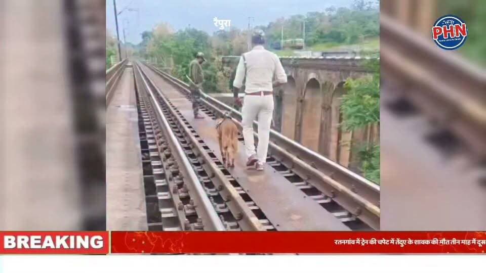 पन्ना के रतनगांव में ट्रेन की चपेट में आने से तेंदुए के शावक की मौत,तीन माह में दूसरी वन्यजीव मौत से वन विभाग चिंतित