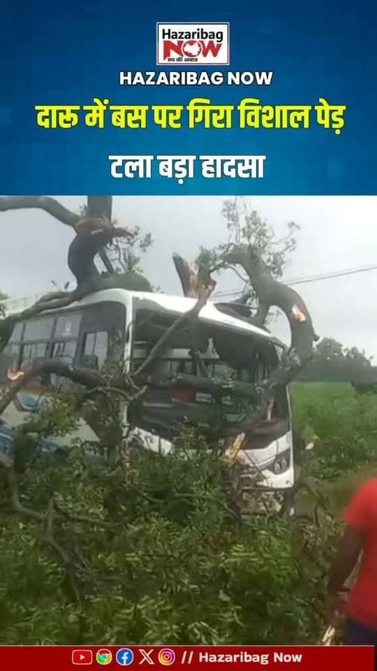 दारू के पेटो में बस पर गिरा विशाल पेड़, टला बड़ा हादसा
धनबाद से हजारीबाग आ रही रायीन बस पर अचानक विशाल पेड़ गिर गया। यात्रियों में अफरा-तफरी मची, दो-तीन यात्रियों को मामूली चोट की जानकारी है।
#Hazaribag #Daroo #Peto #JharkhandNews #HazaribagNews #RoadAccident