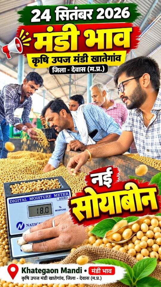24 सितंबर 2026 | मंडी भाव | कृषि उपज मंडी खातेगांव, जिला-देवास (म.प्र.) Khategaon Mandi • मंडी भाव