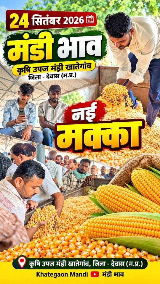 24 सितंबर 2026 | मंडी भाव | कृषि उपज मंडी खातेगांव, जिला-देवास (म.प्र.) Khategaon Mandi • मंडी भाव