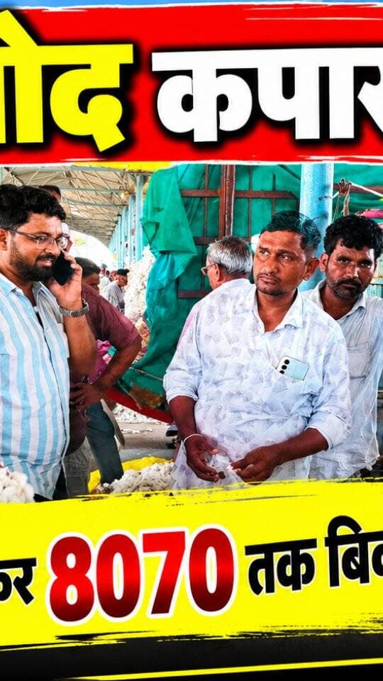 आज धामनोद मंडी में कपास का भाव 5400 से लेकर 8070 तक रहा
आज कपास बाजार में मंदी देखने मिली
25 सितंबर 2026
Dhamnod Mandi Bhav
.
.
.
.
.
.
.
.
.
.
.
.
.
.
.
.
#dhamnodmandibhav #kapaskamandibhav #kapaskabhav #mandinews #kapasmandi