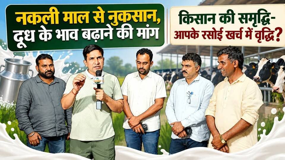 नकली दूध के कारण किसानों का नुकसान, बड़ी डेयरियों की मनमानी का विरोध
#SikarSandesh #Sikar #RajasthanNews