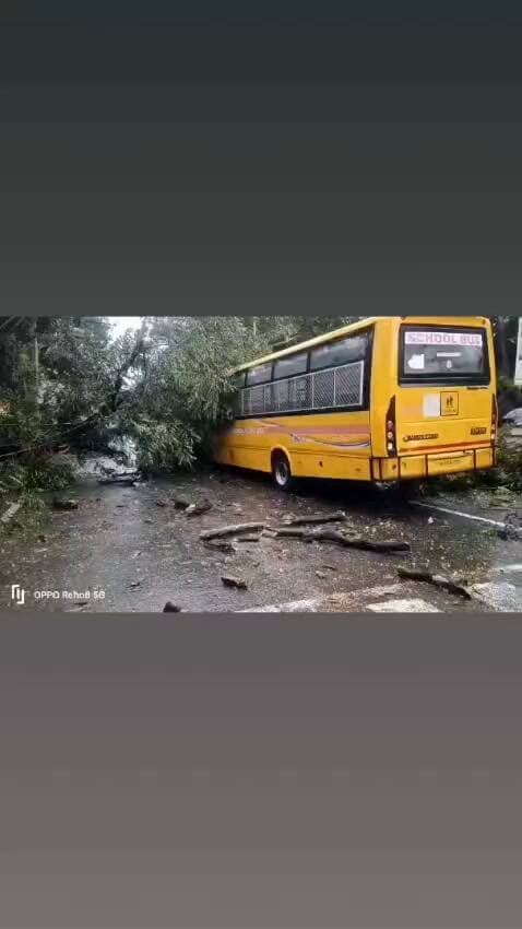 राँची। ए जी मोड़ के पास जेवियर स्कूल की बस पर पेड़ गिरा सभी बच्चे सुरक्षित है