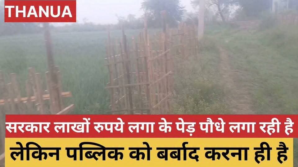 सरकार लाखों रुपये लगा के पेड़ पौधे लगा रही है लेकिन जनता बर्बाद करने मे जुटी है