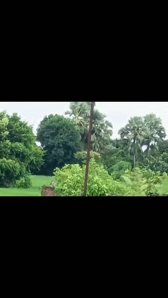 विक्रमपुर और पाकुड़ पुलिस लाइन के बीच सड़क किनारे खेत में दिखी नीलगाय।
#Pakur #JharkhandNews #NilgaiSpotting #WildlifeIndia #TrendingNow #Pakur #PakurNews #Nilgai #Wildlife #Jharkhand #Nature #WildlifeSightings #ViralVideo #ViralVideo #TrendingVideo #FacebookReels #VideoOfTheDay #ExplorePage #NatureInFocus #WatchThis #ViralPost