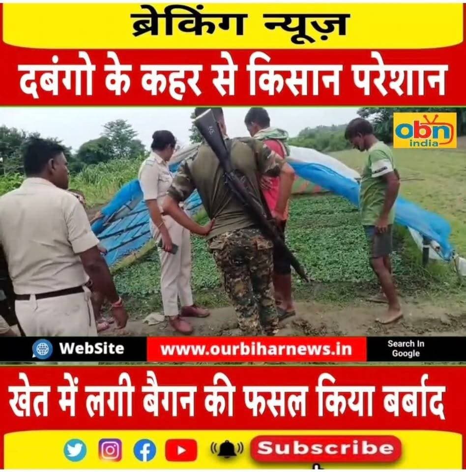 पहले गोभी की नर्सरी किया बर्बाद अब खेत में लगे बैगन को जोतकर किया नष्ट,मामला मुरलीगंज थाना के पकिलपार गांव है, सुदभरना खेती करने वाले किसान परेशान।