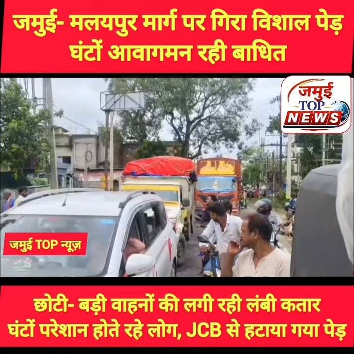जमुई: दो दिनों से हो रही बारिश के बीच जमुई- मलयपुर मार्ग पर गिरा विशाल पेड़, आवागमन बाधित
दो दिनों से हो रही रिमझिम बारिश के बीच जमुई- मलयपुर मुख्य मार्ग पर शुक्रवार की सुबह एक विशाल पेड़ बीच सड़क पर ही गिर गया। गनीमत रही की इस पेड़ की चपेट में कोई भी गाड़ी या लोग नहीं आए, जिससे बड़ी हादसा टल गई। घटना की सूचना स्थानीय लोगों के द्वारा पुलिस प्रशासन और वन विभाग की टीम को दी गई। इसके बाद मौके पर पहुंची पुलिस व वन विभाग द्वारा जेसीबी के माध्यम से पेड़ को हटाने की कार्रवाई शुरू की गई। शुक्रवार को दिन के 11:00 बजे के बाद तक भी पेड़ हटाया नहीं जा सका। पेड़ हटाने की कार्रवाई चालू है। इस दौरान स्थानीय लोगों की काफी भीड़ घटना स्थल पर लगी हुई है। सड़क के दोनो तरफ छोटी बड़ी गाड़ियों की लंबी कतार लगी रही। #jamuiPolice #वनविभाग #viralchallenge