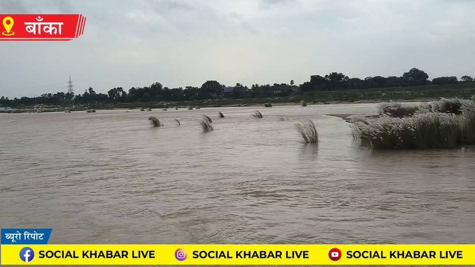 #बांका जिले में लगातार बारिश से चांदन नदी का जलस्तर बढ़ा, 27 सितंबर तक बारिश का अलर्ट
#videosvirales #WeatherUpdate #facebookreelsviral