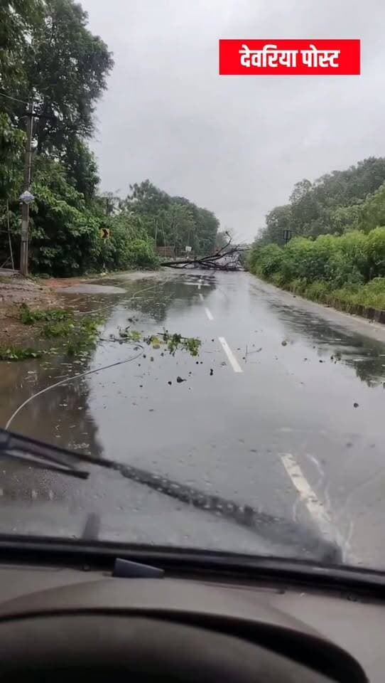 🚨 ब्रेकिंग न्यूज़ | देवरिया
🌧️ भारी बारिश से जनजीवन अस्त-व्यस्त, खुखुंदू के पास सड़क पर गिरा पेड़
देवरिया में भारी बारिश के बीच देवरिया–सलेमपुर मार्ग पर खुखुंदू के पास पेड़ गिरने की सूचना प्राप्त हो रही है। पेड़ गिरने के कारण मार्ग पर आवागमन प्रभावित होने की जानकारी सामने आ रही है।
📍 खुखुंदू, देवरिया
#DeoriaPost #देवरिया #खुखुंदू #BreakingNews #HeavyRain