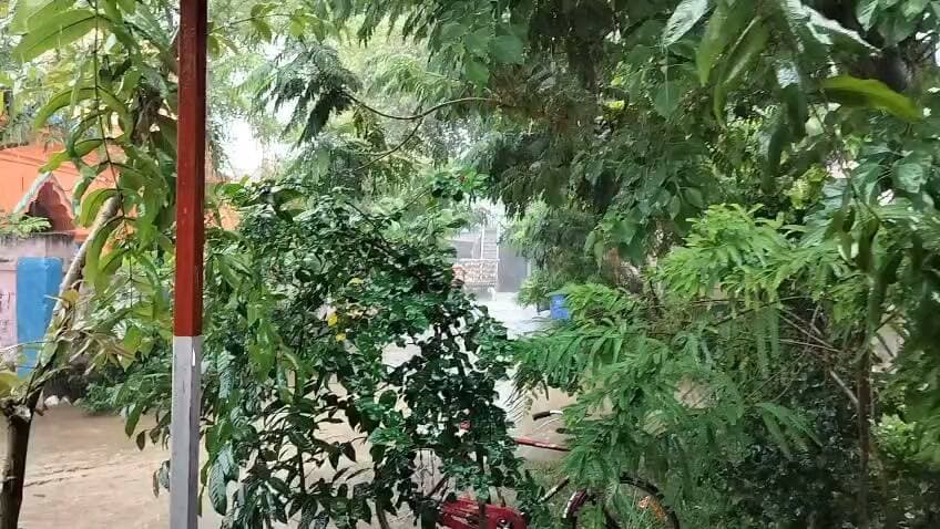बिहार में अगले 72 घंटे मौसम रहेगा सक्रिय, कई जिलों में तेज बारिश की संभावना
पटना : सितंबर का अंतिम सप्ताह चल रहा है और मानसून की वापसी का समय माना जा रहा है। इसके बावजूद बिहार में मौसम एक बार फिर करवट ले रहा है। बंगाल की खाड़ी में बने मौसमी सिस्टम के प्रभाव से अगले 48 से 72 घंटे के दौरान राज्य के कई हिस्सों में बारिश, गरज-चमक और तेज हवाओं का दौर देखने को मिल सकता है।
इन जिलों में अधिक बारिश की संभावना
उत्तर-पश्चिम बिहार के पश्चिमी चंपारण, पूर्वी चंपारण, गोपालगंज, सीवान और मुजफ्फरपुर में बारिश का प्रभाव अधिक रहने की संभावना जताई गई है। इन इलाकों के निचले क्षेत्रों में जलजमाव और अचानक बाढ़ जैसी स्थिति बनने पर लोगों को सतर्क रहने की जरूरत है।
सीमांचल में भी बढ़ेगी बारिश
पूर्णिया, अररिया, किशनगंज और सुपौल सहित सीमांचल के जिलों में भी बारिश का नया दौर शुरू होने की संभावना है। नदियों के जलस्तर में वृद्धि वाले क्षेत्रों में विशेष सावधानी बरतने की सलाह दी गई है।
पटना, गया और भागलपुर में भी असर
मध्य और दक्षिण बिहार के पटना, गया तथा भागलपुर में रुक-रुककर मध्यम से तेज बारिश हो सकती है। कुछ स्थानों पर तेज हवाओं के साथ मौसम में अचानक बदलाव देखने को मिल सकता है। हवा की गति बढ़ने से पेड़, बिजली के तार और अस्थायी ढांचे प्रभावित होने की आशंका बनी रहेगी।
आंधी और वज्रपात को लेकर सतर्क रहें
बारिश के दौरान गरज-चमक और वज्रपात की स्थिति बन सकती है। मौसम खराब होने पर खुले मैदान, पेड़ के नीचे, बिजली के खंभों और जलभराव वाले स्थानों से दूर रहें। तेज आंधी के दौरान घर से बाहर निकलने से बचना सुरक्षित रहेगा।
बारिश के दौरान इन बातों का रखें ध्यान
बिजली चमकने के समय खुले स्थान पर मोबाइल या अन्य इलेक्ट्रॉनिक उपकरणों का इस्तेमाल करने से बचें। खिड़की और बालकनी से भी दूरी बनाए रखें। जलजमाव वाली सड़कों पर अनावश्यक यात्रा न करें और पेड़ या होर्डिंग के आसपास खड़े होने से बचें।
लोगों को सलाह दी गई है कि यात्रा से पहले मौसम की ताजा स्थिति और स्थानीय प्रशासन की ओर से जारी चेतावनी जरूर देख लें।