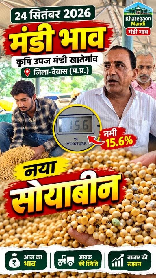 24 सितंबर 2026 | मंडी भाव | कृषि उपज मंडी खातेगांव, जिला-देवास (म.प्र.) Khategaon Mandi • मंडी भाव