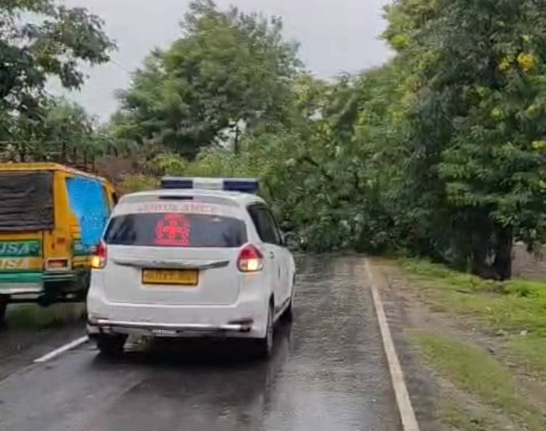 लगातार बारिश से जनजीवन अस्त-व्यस्त, फर्रुखाबाद-बदायूं मार्ग पर गिरा विशालकाय पेड़
फर्रुखाबाद। दो दिनों से लगातार हो रही बारिश अब लोगों के लिए आफत बनती नजर आ रही है। फर्रुखाबाद-बदायूं मार्ग पर नगला हूसा के पास विशालकाय पेड़ अचानक सड़क पर गिर गया, जिससे मार्ग पर यातायात पूरी तरह बाधित हो गया। पेड़ गिरने के बाद सड़क के दोनों ओर वाहनों की लंबी कतार लग गई और भारी जाम की स्थिति बन गई।
जाम में ड्यूटी पर जा रहे लोग, राहगीर और एंबुलेंस तक फंस गईं, जिससे लोगों को काफी परेशानी का सामना करना पड़ा। लगातार बारिश के बीच सड़क पर यातायात बाधित होने से राहगीरों की मुश्किलें और बढ़ गईं।
किसानों पर भी बारिश की मार
लगातार हो रही बारिश से किसानों की चिंता भी बढ़ गई है। खेतों में खड़ी बाजरे और धान की फसल प्रभावित होने लगी है। बारिश का सिलसिला जारी रहने पर किसानों को फसल में भारी नुकसान की आशंका सता रही है। किसानों की मेहनत पर मौसम की मार पड़ती दिखाई दे रही है।
ठंड बढ़ने से बच्चे-बुजुर्ग और पशु परेशान
लगातार बारिश के कारण मौसम में अचानक ठंडक बढ़ गई है। ठंडी हवाओं के चलते छोटे बच्चों और बुजुर्गों को परेशानी का सामना करना पड़ रहा है। वहीं बारिश और ठंड से पशुओं को भी दिक्कतें हो रही हैं। पशुपालक अपने मवेशियों को सुरक्षित रखने को लेकर चिंतित हैं।
बारिश, ठंड और यातायात बाधित होने के कारण क्षेत्र में जनजीवन पूरी तरह अस्त-व्यस्त नजर आ रहा है। लोगों ने प्रशासन से सड़क पर गिरे पेड़ को जल्द हटवाकर यातायात सुचारु कराने तथा बारिश से प्रभावित किसानों की फसलों का सर्वे कराकर आवश्यक सहायता उपलब्ध कराने की मांग की है।
नगला हूसा | फर्रुखाबाद-बदायूं मार्ग
#फर्रुखाबाद #अमृतपुर #नगला_हूसा #फर्रुखाबाद_बदायूं_मार्ग #लगातार_बारिश #भारी_बारिश #जाम #एंबुलेंस #यातायात #किसान #धान #बाजरा #फसल_नुकसान #ठंड #जनजीवन_अस्तव्यस्त #मौसम #उत्तरप्रदेश