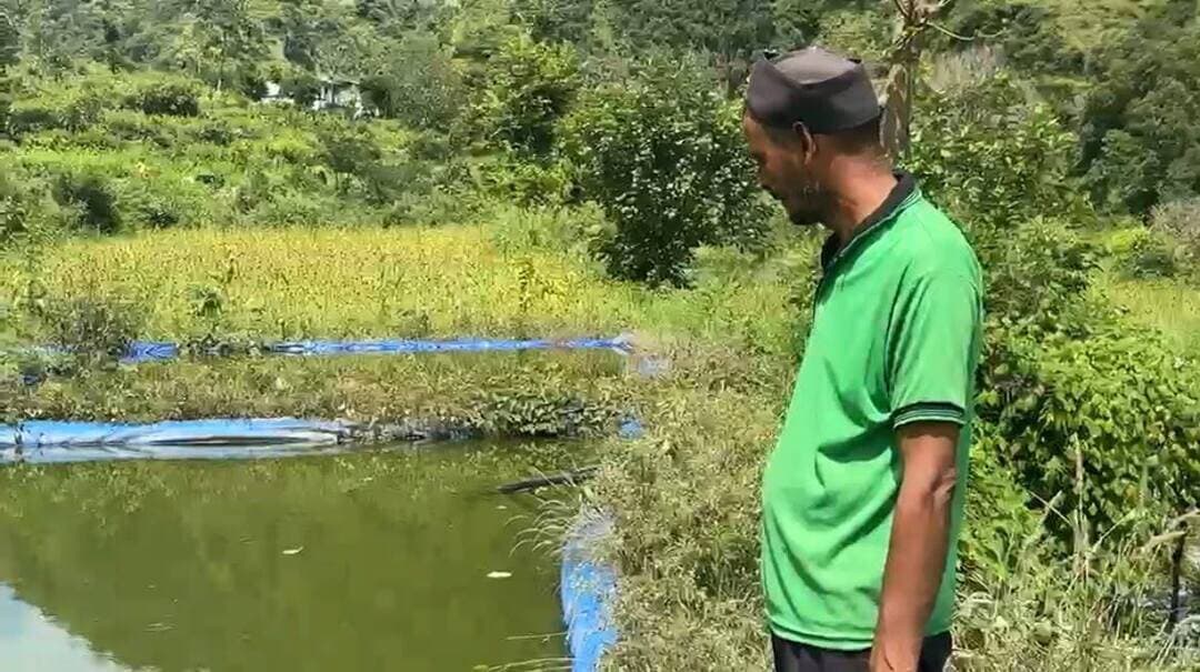 सात तालाबों में मछली पालन कर रहे राजेंद्र, सालाना तीन लाख की बचत
पौड़ी। पहाड़ में स्वरोजगार की संभावनाओं को तलाशते हुए पाबौ विकासखंड के बिडोली गांव निवासी राजेंद्र चमोली मछली पालन से आत्मनिर्भरता की मिसाल पेश कर रहे हैं। पिछले पांच वर्षों से मछली उत्पादन कर रहे राजेंद्र सात तालाबों में मछली पालन कर रहे हैं। खास बात यह है कि उनके इस व्यवसाय से तीन महिलाओं को भी रोजगार मिल रहा है।
राजेंद्र ने मत्स्य विभाग के सहयोग से मछली पालन का कार्य शुरू किया था। वर्तमान में उनके सात तालाबों में पंगास और ग्रास कार्प मछलियों का उत्पादन हो रहा है। वह साल में दो से तीन बार मछली का उत्पादन कर स्थानीय बाजारों में बिक्री करते हैं। एक उत्पादन चक्र में करीब चार कुंतल मछली का उत्पादन हो रहा है, जिसकी स्थानीय बाजारों में आसानी से बिक्री हो जाती है।
मछली पालन से होने वाली आमदनी से तीन महिलाओं को भुगतान करने के बाद राजेंद्र सालाना करीब तीन लाख रुपये की बचत कर रहे हैं। वहीं, उनके साथ काम करने वाली महिलाएं भी इस कार्य से अच्छी आमदनी अर्जित कर आर्थिक रूप से आत्मनिर्भर बन रही हैं।
सब्जी उत्पादन से शुरू किया था सफर
जिला मत्स्य अधिकारी अभिषेक मिश्रा के अनुसार, राजेंद्र चमोली पहले सब्जी उत्पादन का कार्य करते थे। करीब पांच वर्ष पूर्व वह प्रेरणा मत्स्यजीवी सहकारी समिति से जुड़े। मुख्यमंत्री मत्स्य संपदा योजना और मत्स्य विभाग के सहयोग से उन्होंने मछली पालन को स्वरोजगार के रूप में अपनाया। अब वह उत्पादन बढ़ाने और व्यवसाय में विविधता लाने के लिए गोल्डन फिश का बीज डालने की तैयारी कर रहे हैं।
राजेंद्र की यह पहल पहाड़ में स्थानीय संसाधनों के बेहतर उपयोग और ग्रामीण क्षेत्रों में रोजगार के अवसर सृजित करने की दिशा में एक उदाहरण बन रही है। उनके प्रयासों से न केवल परिवार की आमदनी बढ़ी है, बल्कि गांव की महिलाओं को भी स्थानीय स्तर पर रोजगार उपलब्ध हो रहा है।