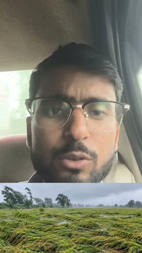 48 घंटे से लगातार भारी बारिश, किसानों की बढ़ी मुश्किलें; धान-गन्ने समेत कई फसलें प्रभावित
लखीमपुर खीरी में लगातार बारिश और तेज हवाओं से खेतों में खड़ी धान और गन्ने की फसल को नुकसान की स्थिति सामने आई है। कई जगह धान की तैयार फसल गिर गई है, जबकि जलभराव से गन्ने की फसल भी प्रभावित हुई है।
#LakhimpurKheri #KheriNews #UPNews #HeavyRain #RainAlert #RainNews #Farmers #FarmerNews #CropDamage #CropLoss #DhanKiFasal #Ganna #Kisan #KisanNews #Barish #भारीबारिश #फसलनुकसान #किसान #लखीमपुरखीरी #लखीमपुरन्यूज #यूपी_न्यूज #बरसात #धान #गन्ना