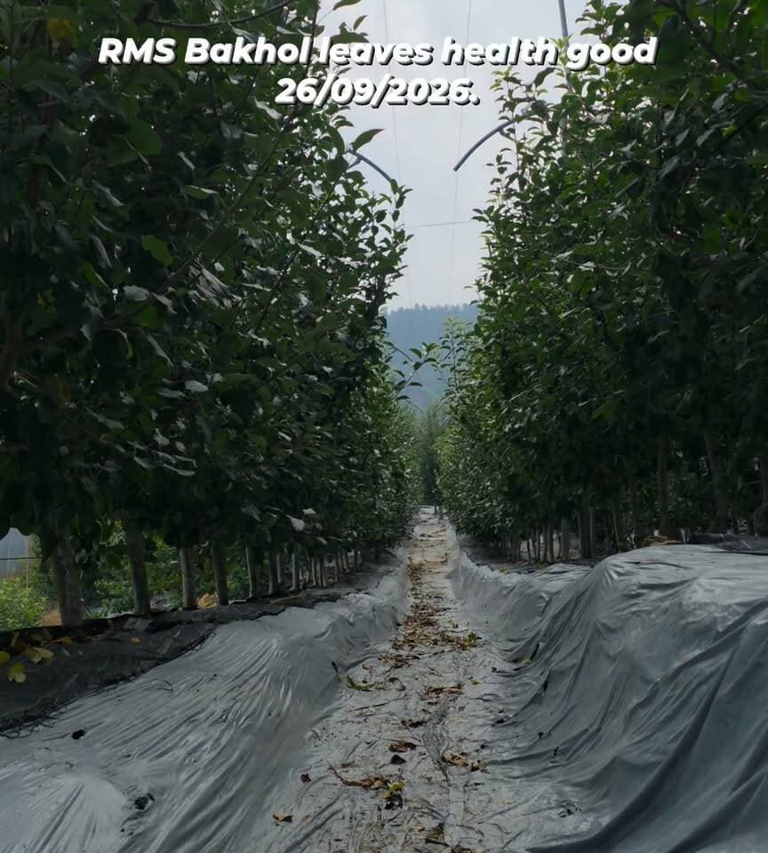 RMS Bakhol leaves health good 26/09/2026.
