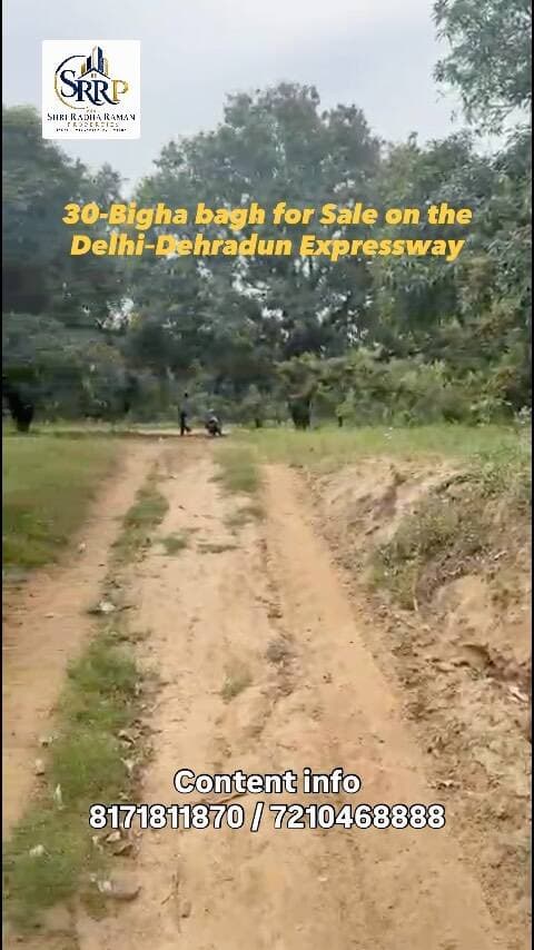 🌿 A Rare 30-Bigha Orchard on the Delhi–Dehradun Expressway 🛣️✨
A premium land parcel combining expansive greenery, strategic location, and excellent connectivity — an opportunity for buyers looking for a substantial property in a high-potential location.
📍 Delhi–Dehradun Expressway
📐 30 Bigha
🌳 Orchard Property
🛣️ Prime Expressway Connectivity
Looking to acquire a premium land parcel? DM us today for location, pricing & complete details. 📩