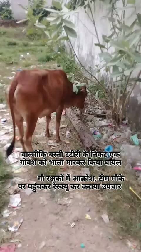#baghpat #news #newsupdate #viralvideos #newpost