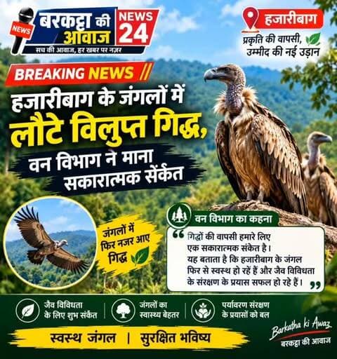 हजारीबाग जंगलों में लौटे विलुप्त गिद्ध, वन विभाग ने जताया संतोष
हजारीबाग : वन विभाग ने बताया कि हजारीबाग के जंगलों में विलुप्त हो चुके गिद्ध फिर से लौट आए हैं, जो पर्यावरण के लिए एक सकारात्मक संकेत माना जा रहा है। इस वापसी को इलाके की जैव विविधता में सुधार का संकेत बताया जा रहा है।
वन विभाग ने यह भी कहा कि गिद्धों की वापसी से स्थानीय पारिस्थितिकी तंत्र को मजबूती मिलेगी और यह क्षेत्र वन्यजीव संरक्षण के लिए महत्वपूर्ण साबित होगा। अधिकारियों ने इस घटना को संरक्षण प्रयासों की सफलता माना है।