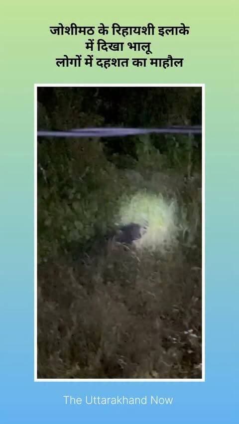 उत्तराखंड के पर्वतीय इलाकों में भालुओं की बढ़ती सक्रियता से ग्रामीणों में डर का माहौल है। सितंबर में चमोली, पिथौरागढ़, टिहरी और उत्तरकाशी से भालू के हमलों की कई घटनाएं सामने आई हैं। जंगल में घास काटने और रोजमर्रा के काम के लिए जाने वाले ग्रामीण लगातार निशाने पर आ रहे हैं। ग्रामीणों ने वन विभाग से गश्त बढ़ाने और आबादी वाले क्षेत्रों में भालुओं की आवाजाही रोकने की मांग की है।
#uttarakhand #breakingnews #theuttarakhandnow