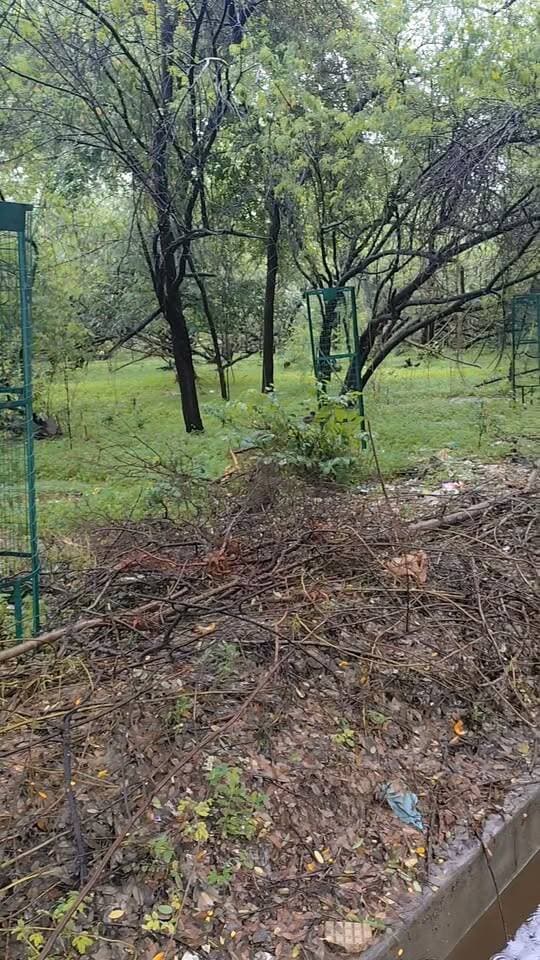 बारिश के बाद जंगल का हाल देखो
पेड़ गिरने से पूरा इलाका बिखर गया
रास्ते के अपोजिट साइड में जहां पेड़ गिरे थे, वहां अब डालियां और मलबा फैला पड़ा है। वन विभाग के लगाए जाल भी खाली पड़े हैं।
ऐसी ग्राउंड रिपोर्ट देखने के लिए पेज को फॉलो जरूर करें