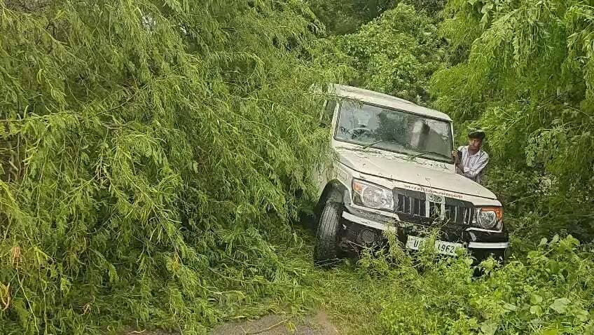 पट्टी से रानीगंज जाने वाली रोड पर बेलसंडी गांव के समीप में रोड पर बबुल का पेड़ गिर जाने से रास्ता का आवागमन ठप है कृपया संबंधित विभाग संज्ञान लें जिससे आवागमन बहाल हो सके