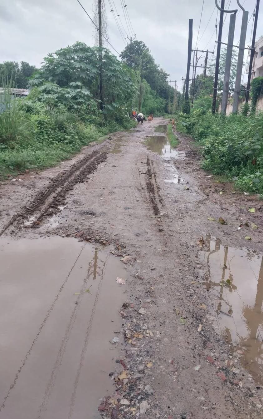 बरौनी (बेगूसराय): प्रखंड मुख्यालय से महज 50
मीटर की दूरी पर स्थित बरौनी जीरोमाइल ग्रिड (पिपरा देवस, वार्ड नंबर 10) को जोड़ने वाली मुख्य सड़क
संवाददाता मुकेश कुमार बीहट
बरौनी प्रखंड पिपरा देवस इन दिनों जर्जर बदहाली का शिकार है। एनएच 28 से निकलकर जीरोमाइल बिजली ग्रिड के बगल से किसानों के खेतों तक जाने वाली यह सड़क बारिश के मौसम में राहगीरों और किसानों के लिए मुसीबत का सबब बन चुकी है।जलजमाव और गड्डों से आवागमन बाधित
सड़क पर बने दो से तीन बड़े-बड़े गड्डों में जलजमाव हो जाने के कारण यहां दुर्घटना की आशंका लगातार बनी रहती है। यह सड़क न केवल स्थानीय किसानों के लिए अपने खेतों तक पहुँचने का एकमात्र ज़रिया है, बल्कि बिजली विभाग के पदाधिकारियों और कर्मचारियों की आवाजाही का भी मुख्य मार्ग है। बारिश के कारण जलमग्न हुए गड्डों की वजह से किसानों को अपने कृषि कार्य निपटाने और अधिकारियों को दफ़्तर तक पहुँचने में भारी परेशानियों का सामना करना पड़ रहाप्रशासन और जनप्रतिनिधि बेखबर
सबसे हैरान करने वाली बात यह है कि प्रखंड कार्यालय से महज 50 मीटर की दूरी पर स्थित होने के बावजूद इस जर्जर सड़क की ओर किसी का ध्यान नहीं जा रहा है। स्थानीय ग्रामीणों और किसानों का आरोप है किःजनप्रतिनिधियों की उदासीनताः न तो स्थानीय मुखिया और न ही किसी अन्य जनप्रतिनिधि ने इस समस्या की ओर ध्यान दिय हैIप्रशासनिक अनदेखी: प्रखंड स्तर के किसीभी पदाधिकारी या बिजली विभाग के आला अधिकारियों ने सड़क की मरम्मत के लिए अब तक कोई ठोस कदम नहीं उठाया है।किसानों और ग्रामीणों की "प्रखंड मुख्यालय और बिजली ग्रिड जैसी महत्वपूर्ण जगह के पास की सड़क का यह हाल प्रशासनिक उदासीनता को दर्शाता है। यदि समय रहते इन गड्डों को भरकर सड़क की मरम्मत नहींआवाजाही पूरी तरह ठप हो सकती है।"
स्थानीय लोगों और किसानों ने जिला प्रशासन एवं संबंधित विभाग से मांग की है कि इस सड़क का संज्ञान लेकर जल्द से जल्द इसका निर्माण कार्य शुरू कराया जाए, ताकि जलजमाव और गड्डों से राहत मिल सके