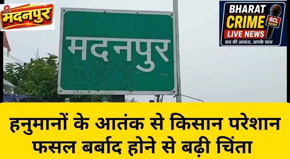मदनपुर क्षेत्र में हनुमानों के आतंक से किसान परेशान, फसल बर्बाद होने से बढ़ी चिंता
#BharatCrimeLiveNews #मदनपुर #औरंगाबाद #किसान #किसानोंकीसमस्या #हनुमानआतंक #फसलनुकसान #कृषि #चेई #वनविभाग #किसानपरेशान #खेती #ग्रामीणसमस्या #BiharNews #AurangabadNews