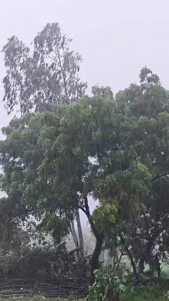 मऊ जिले में मूसलाधार बारिश