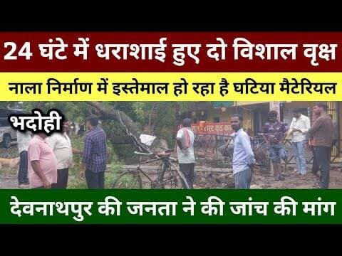भदोही : 24 घंटे में गिरे दो विशाल वृक्ष... नाला निर्माण में हो रही है गज़ब की धांधली EXCLUSIVE NEWS