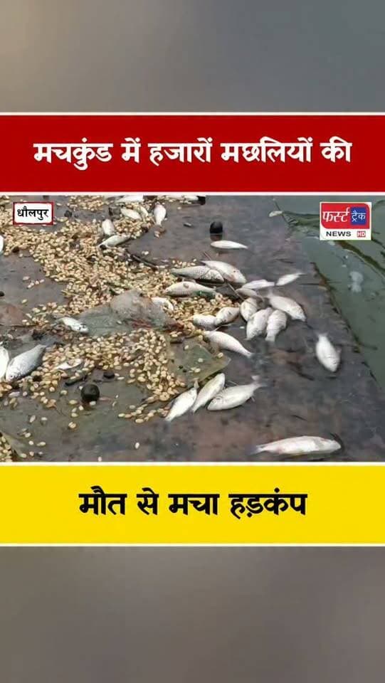 मचकुंड सरोवर में हजारों मछलियों की मौ**त से मचा हड़कंप। Dholpur News
#dholpurnews #rajasthannews #breakingnews #machakund #धौलपुर