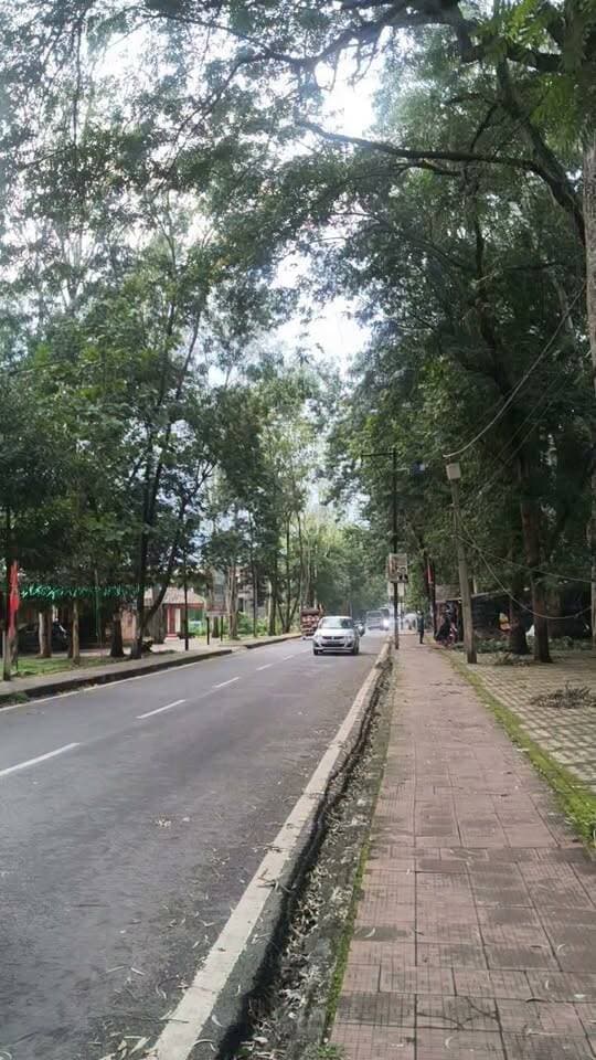 कचहरी मोड़ से जिला मुख्यालय आना है तो यह रास्ता में नजर हाथी दुर्घटना घटी बन गया है