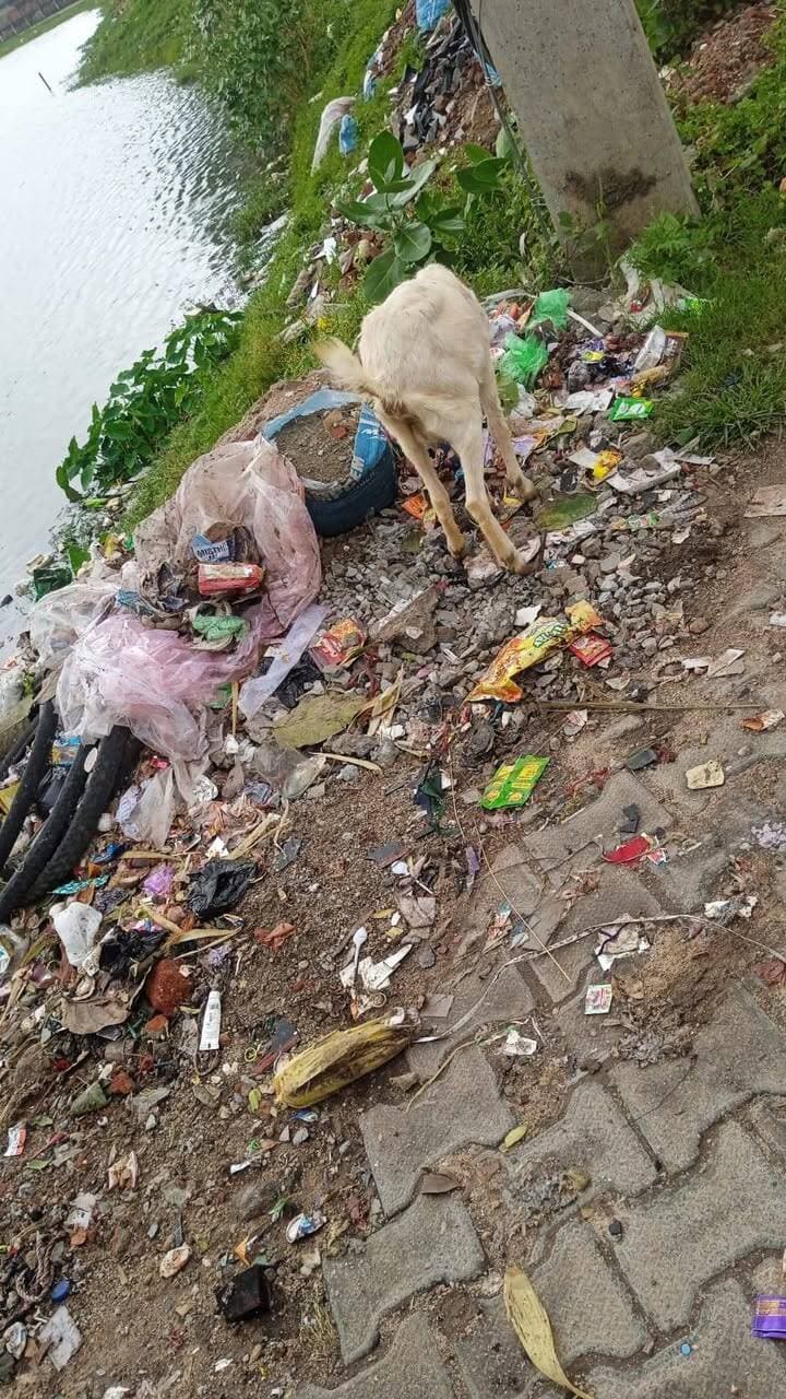 लोहरदगा में कचरे का अंबार, सफाई कर्मियों की हड़ताल जारी; एजेंसी-प्रशासन को महासंघ ने ठहराया जिम्मेदार
#lohardaga #newa