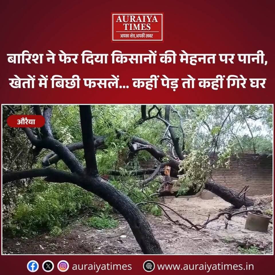 #औरैया में लगातार बारिश से किसानों की मुश्किलें बढ़ गई हैं। खेतों में तैयार धान की फसलें जमीन पर बिछ गईं, कहीं पेड़ गिरे तो कहीं घरों को भी नुकसान पहुंचा। अब किसानों को फसल के नुकसान की चिंता सता रही है।
सवाल ये है कि प्रशासन कब नुकसान का आकलन कराएगा और प्रभावित किसानों तक राहत व मुआवजा कैसे पहुंचेगा?
#Auraiya #AuraiyaNews #AuraiyaRain #HeavyRain #Kisan #Farmers #CropDamage #DhanKiFasal #UPRain #UPWeather #RainAlert #WeatherUpdate #FarmerNews #UPNews #HindiNews #ViralNews #Trending #AuraiyaTimes