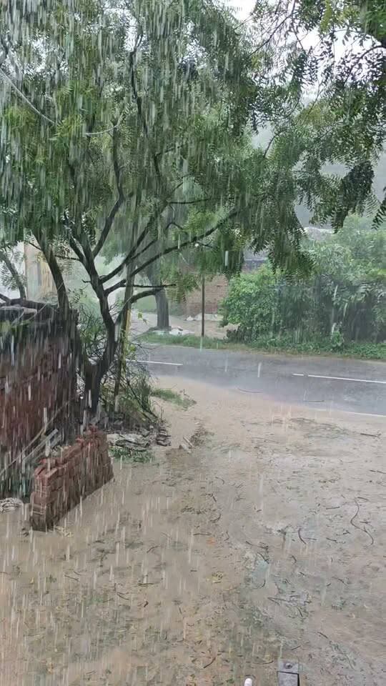 मऊ में नहीं थम रहा बारिश का दौर, तेज हवाओं के साथ लगातार बरस रहे बादल
#मऊ #मौसम #बारिश