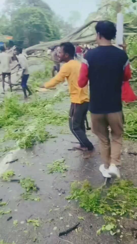 #Bahraich:- रुपईडीहा बहराइच हाइवे पर कई जगह भारी पेड़ गिरने से यातायात प्रभावित,, #वायरल