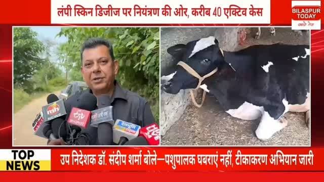 लंपी स्किन डिजीज पर नियंत्रण की ओर, करीब 40 एक्टिव केस
उप निदेशक डॉ. संदीप शर्मा बोले—पशुपालक घबराएं नहीं, टीकाकरण अभियान जारी