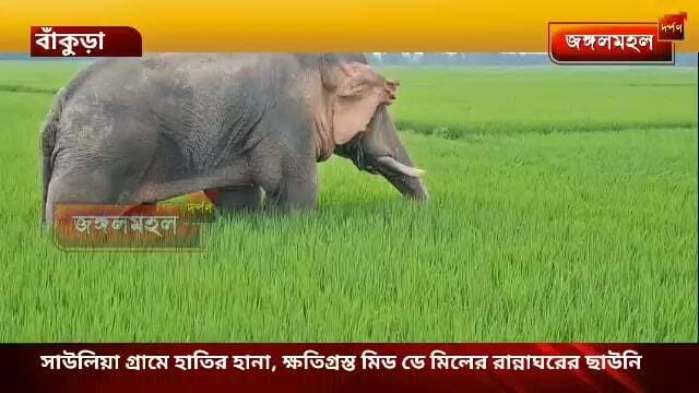 সাউলিয়া গ্রামে হাতির হানা, ক্ষতিগ্রস্ত মিড ডে মিলের রান্নাঘরের ছাউনি ।