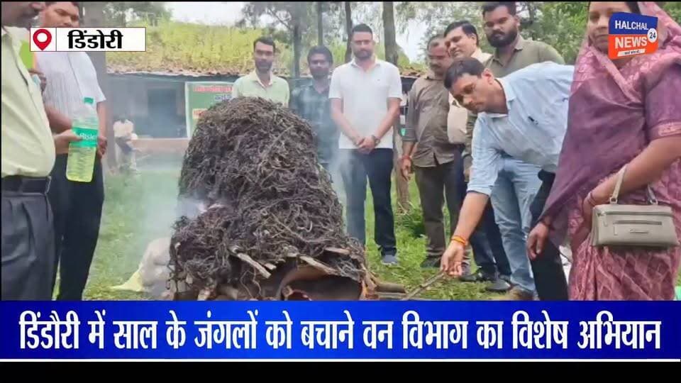 साल के जंगलों को बचाने वन विभाग का अभियान, 19.50 लाख साल बोरर कीड़े किए नष्ट
करंजिया और बजाग क्षेत्र में ग्रामीणों ने जुटाए कीट, प्रति कीड़ा ₹2 देने की व्यवस्था; अलग-अलग स्थानों पर जलाकर किया गया नष्ट
डिंडौरी जिले में साल के जंगलों और पेड़ों को साल बोरर कीट से बचाने के लिए वन विभाग द्वारा विशेष अभियान चलाया गया। करंजिया और बजाग क्षेत्र में ग्रामीणों की मदद से करीब 19 लाख 50 हजार साल बोरर कीड़े एकत्र किए गए, जिन्हें वन विभाग ने विभिन्न स्थानों पर जलाकर नष्ट किया।
वन विभाग ने साल बोरर कीड़ों को पकड़ने के लिए ग्रामीणों को प्रति कीड़ा ₹2 देने की व्यवस्था की थी। इसके बाद ग्रामीणों ने जंगल और साल के पेड़ों से बड़ी संख्या में कीड़े एकत्र कर वन विभाग को सौंपे।
बताया गया कि एकत्र किए गए कीड़ों को करंजिया, चोरादादर, खारीडीह, गोपालपुर, गौराकन्हारी और ठाड़ पत्थरा सहित अलग-अलग स्थानों पर जलाकर नष्ट किया गया। अभियान के दौरान वन विभाग के अधिकारी, DFO और जनप्रतिनिधि भी मौजूद रहे।
वन विभाग के अनुसार मानसून की पहली बारिश के आसपास साल बोरर कीट पेड़ों से निकलते हैं और स्वस्थ साल के पेड़ों में जाकर अंडे देते हैं। इसके बाद इनका जीवन चक्र पेड़ के अंदर पूरा होता है, जिससे पेड़ को धीरे-धीरे नुकसान पहुंचने की आशंका रहती है।
वन विभाग का कहना है कि साल के पेड़ों को संभावित नुकसान से बचाने के लिए समय रहते साल बोरर कीड़ों को पकड़कर नष्ट किया जा रहा है। अभियान में ग्रामीणों की भागीदारी को भी महत्वपूर्ण माना जा रहा है।
#DindoriNews #SalForest #ForestDepartment #MPNews #HALCHAL24NEWS