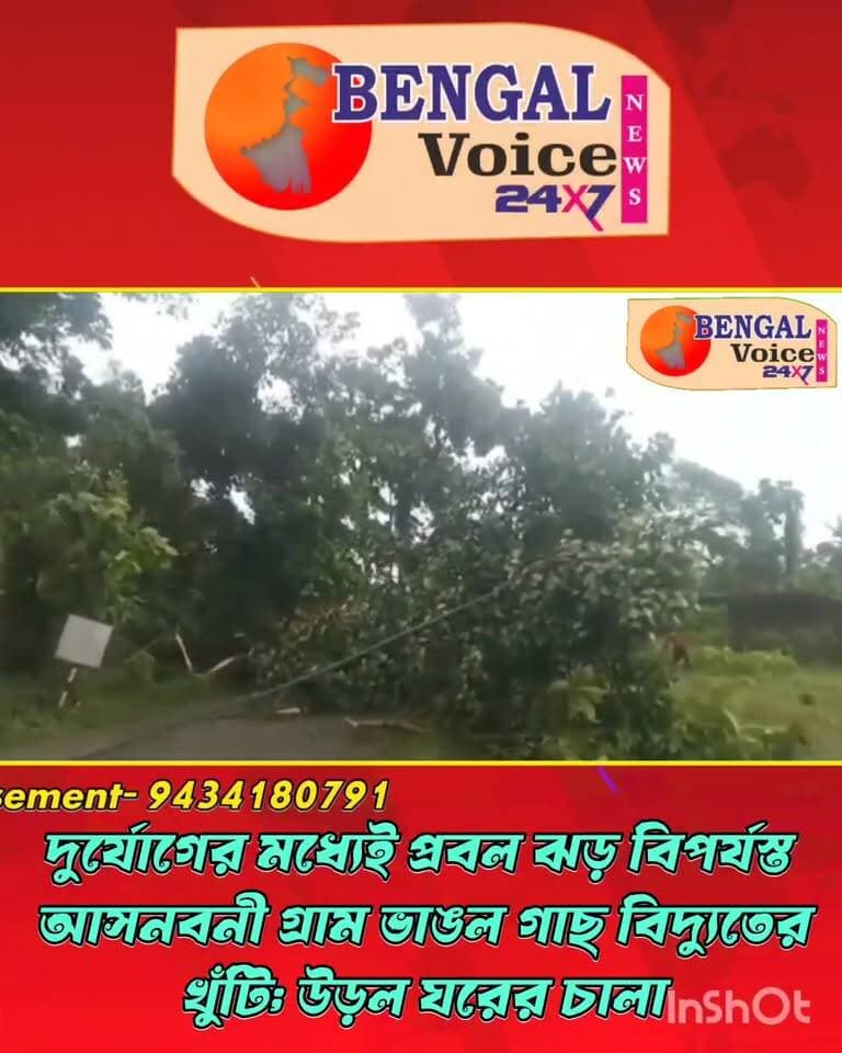 দুর্যোগের মধ্যেই প্রবল ঝড়, বিপর্যস্ত আসনবনী গ্রাম ভাঙল গাছ, বিদ্যুতের খুঁটি; উড়ল ঘরের চালা