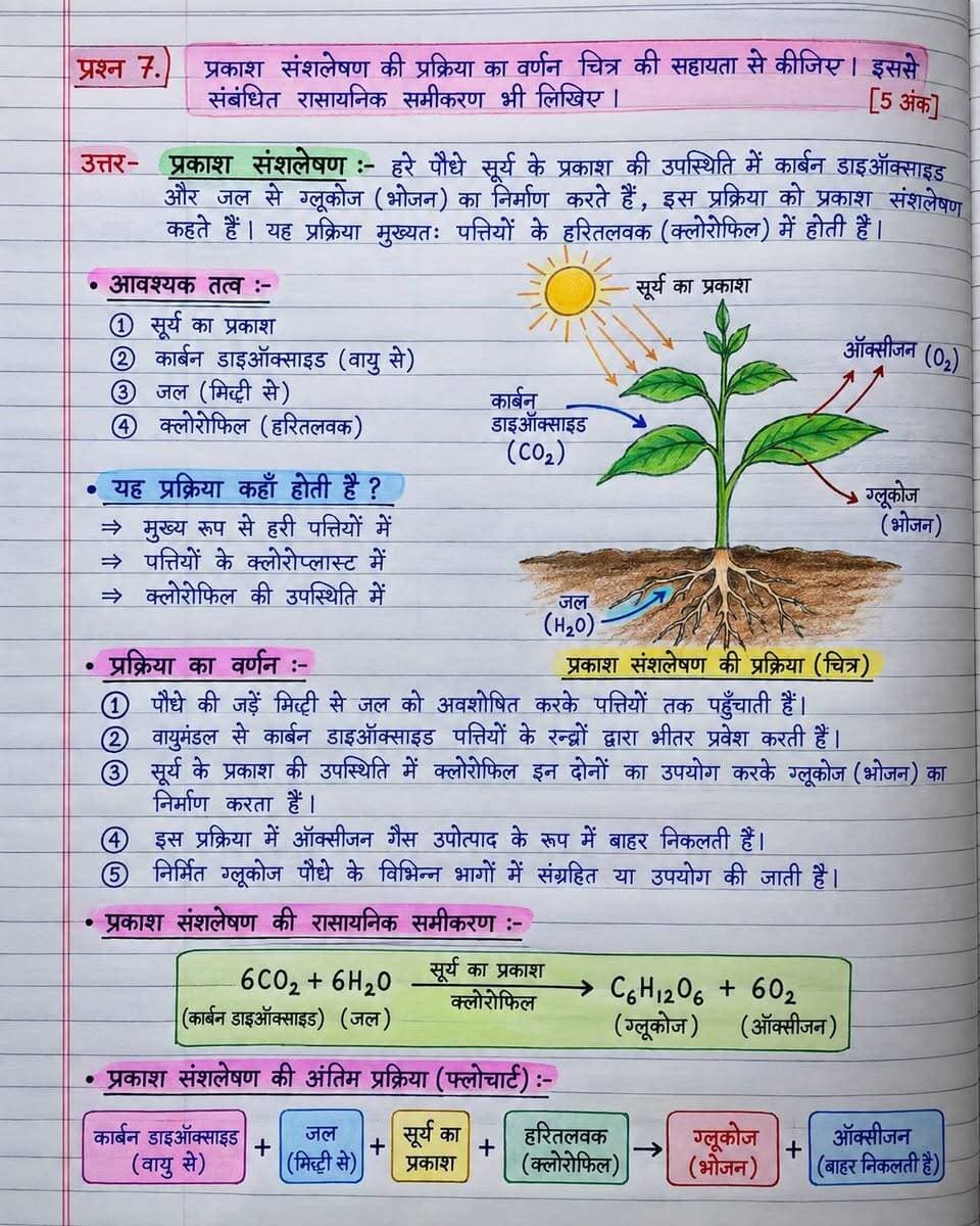 Notes