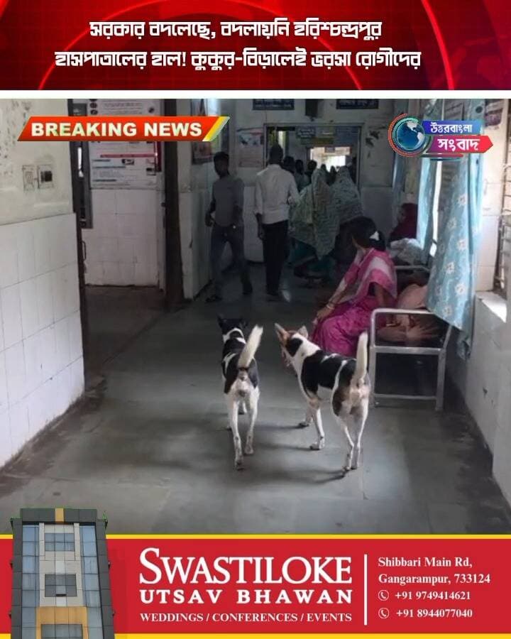 সরকার বদলেছে, বদলায়নি হরিশ্চন্দ্রপুর হাসপাতালের হাল! কুকুর-বিড়ালেই ভরসা রোগীদের
#BreakingNews
#malda