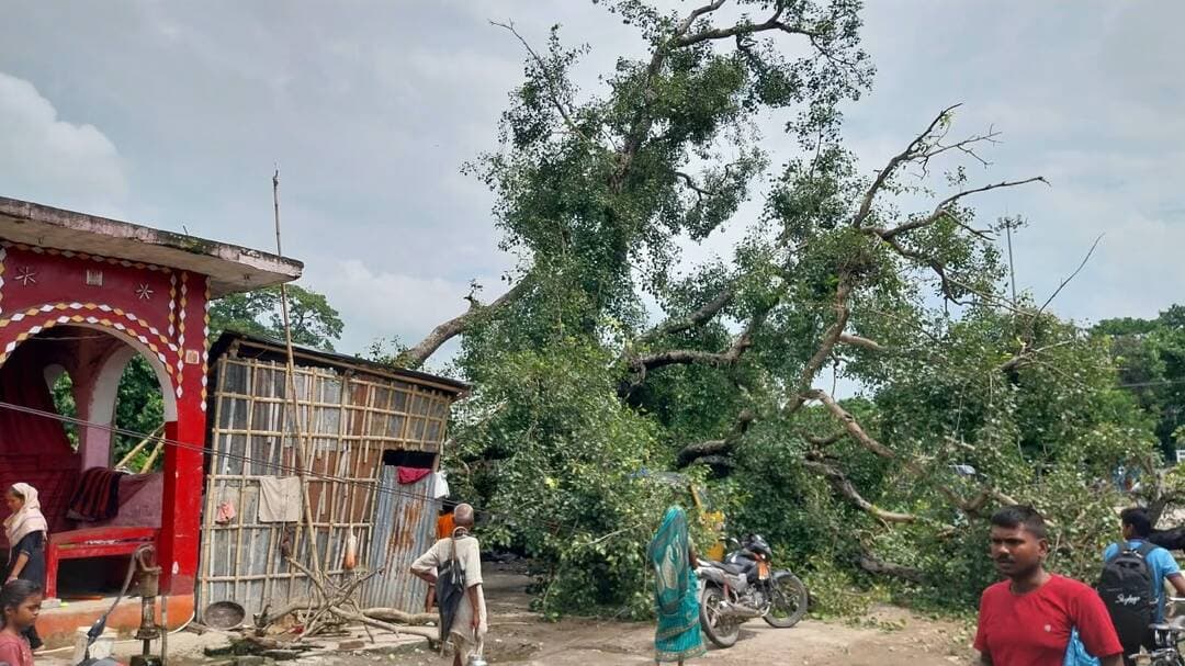 मुरलीगंज दुर्गा स्थान से अस्पताल और थाना रोड जाने वाले मार्ग में कला भवन के समीप स्थित बजरंगबली मंदिर परिसर का विशाल पीपल का पेड़ शनिवार को करीब 11 बजे अचानक धराशायी हो गया। दशकों पुराने इस पेड़ के अचानक गिरने से इलाके में अफरातफरी मच गयी। हालांकि, गनीमत रही कि पेड़ पूर्व दिशा की ओर गिरा, जिससे सड़क से गुजर रहे लोग और आसपास रहने वाले लोग इसकी चपेट में आने से बच गये।
(पूरी रिपोर्ट का लिंक कॉमेंट बॉक्स में...)