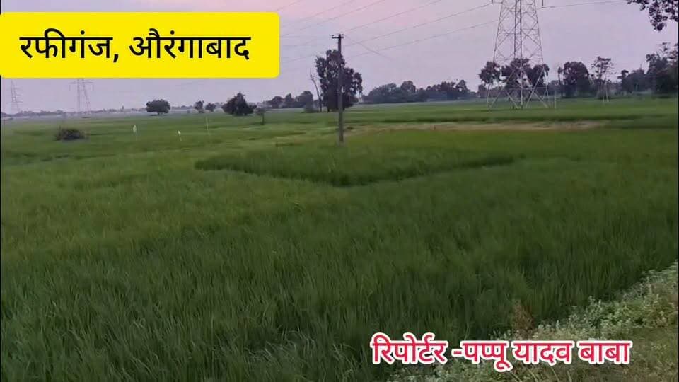 रफीगंज प्रखंड के बाढ़ प्रभावित किसानों को 29 सितंबर तक मिलेगा आवेदन का मौका
#रफीगंज #औरंगाबाद #पौथू #कजपा #RafiganjNewsChannel