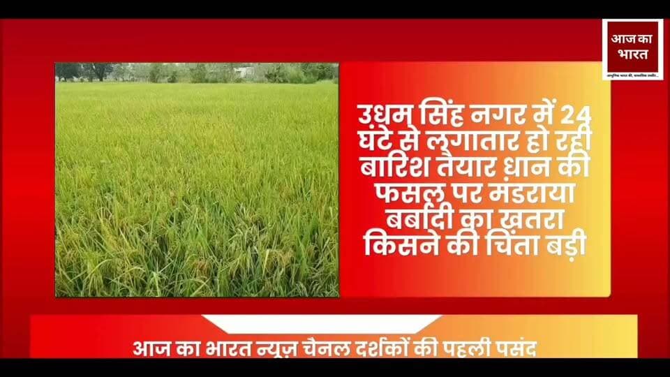 1. उधम सिंह नगर में 24 घंटे से लगातार बारिश, किसानों की बढ़ी चिंता—खेतों में पककर तैयार धान की फसल पर मंडराया बर्बादी का खतरा
2. आसमान से बरस रही आफत! लगातार बारिश से खेतों में खड़ी धान की फसल को नुकसान की आशंका, किसान परेशान
3. कटाई के इंतजार में खड़ी धान की फसल, लगातार बारिश ने बढ़ाई किसानों की मुश्किलें—फसल खराब होने का डर
4. उधम सिंह नगर में बारिश बनी किसानों के लिए मुसीबत, पककर तैयार धान की फसल पर मंडराया संकट
5. 24 घंटे से बारिश का दौर जारी, खेतों में लहलहाती धान की फसल पर संकट—कटाई नहीं कर पा रहे किसान