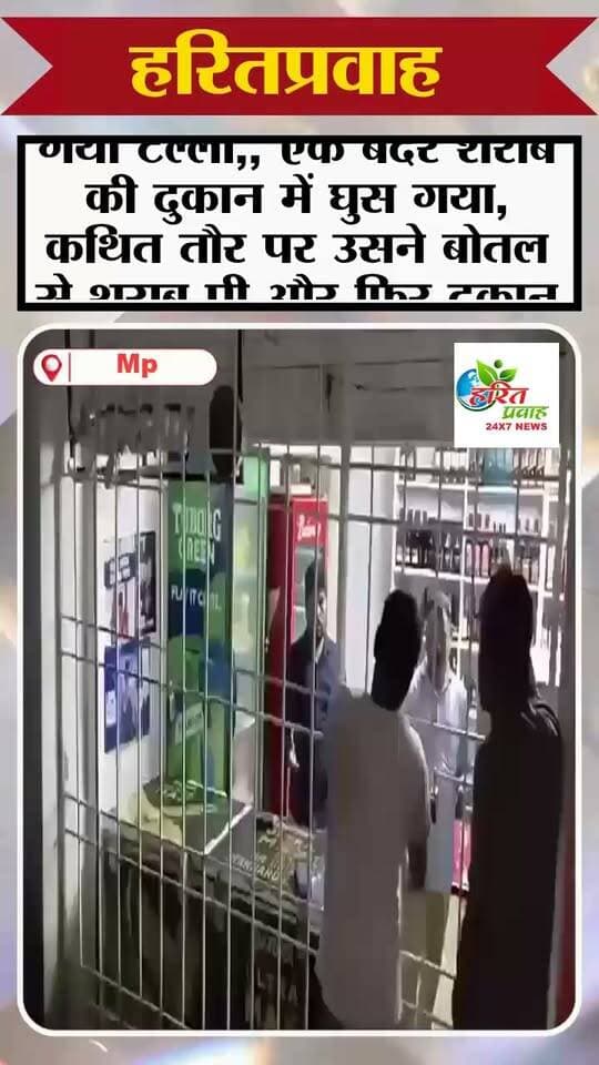 बंदर शराब दुकान में दारू पीकर हुआ टल्ली वीडियो वायरल
#वीडियोवायरल #videosvirales #MPNews #HaritPrawah