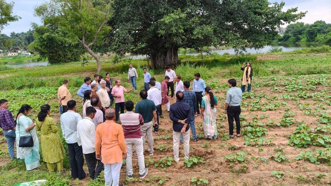 बड़वानी के किसानों और मध्यप्रदेश के कृषि अधिकारियों ने बेंगलुरु में सीखा प्राकृतिक खेती का हुनर
........
श्री श्री इंस्टीट्यूट ऑफ़ एग्रीकल्चरल साइंसेज एंड टेक्नोलॉजी ट्रस्ट द्वारा तीन दिवसीय विशेष प्रशिक्षण संपन्न
बड़वानी 26 सितंबर 2026/कम लागत में टिकाऊ और जहरमुक्त खेती को बढ़ावा देने के उद्देश्य से 'श्री श्री इंस्टीट्यूट ऑफ़ एग्रीकल्चरल साइंसेज एंड टेक्नोलॉजी ट्रस्ट, बेंगलूरु' द्वारा प्राकृतिक कृषि एवं कृषि की उन्नत पद्धतियों पर आधारित तीन दिवसीय विशेष प्रशिक्षण कार्यक्रम का आयोजन 22 सितंबर से 24 सितंबर 2026 तक किया गया।
इस महत्वपूर्ण प्रशिक्षण कार्यक्रम में बड़वानी जिले के 25 प्रगतिशील किसानों ने उत्साहपूर्वक हिस्सा लिया।
प्राकृतिक आदानों को तैयार करने का मिला व्यावहारिक ज्ञान
प्रशिक्षण के दौरान विशेषज्ञों द्वारा किसानों को रासायनिक उर्वरकों और कीटनाशकों के विकल्प के रूप में प्राकृतिक खेती के विभिन्न घटकों की विस्तृत जानकारी दी गई। प्रतिभागियों को जीवामृत, बीजामृत, ब्रह्मास्त्र, घनजीवामृत, आग्नेयास्त्र, नीमास्त्र, दशपरणी अर्क, पंचगव्य और एंजाइम घोल बनाने की भौतिक विधियों का सजीव प्रदर्शन कर प्रशिक्षित किया गया।
खेती के साथ मानसिक और शारीरिक स्वास्थ्य पर भी जोर
कार्यक्रम की विशेषता यह रही कि इसमें केवल कृषि तकनीकों तक ही सीमित न रहकर, कृषकों के समग्र विकास पर ध्यान दिया गया। संस्थान द्वारा स्वस्थ जीवन शैली और तनावमुक्त जीवन के लिए विशेष रूप से योगाभ्यास एवं सुदर्शन क्रिया का अभ्यास भी कराया गया।
प्रमाण पत्र वितरण के साथ सकुशल संपन्न हुआ दौरा
प्रशिक्षण के अंतिम दिन सभी सहभागियों को प्राकृतिक खेती के प्रशिक्षण का प्रमाण पत्र वितरित किया गया। तीन दिवसीय इस ज्ञानवर्धक प्रवास के पश्चात सभी कृषक व अधिकारी पूरी तरह संतुष्ट होकर अपने गंतव्य बड़वानी के लिए सुरक्षित रवाना हुए और सकुशल अपने गृहग्राम पहुंच गए।
इस प्रशिक्षण से बड़वानी क्षेत्र में प्राकृतिक खेती को एक नई गति मिलने की उम्मीद है, जिससे किसानों की लागत घटेगी और मिट्टी की उर्वरता सुरक्षित रहेगी।