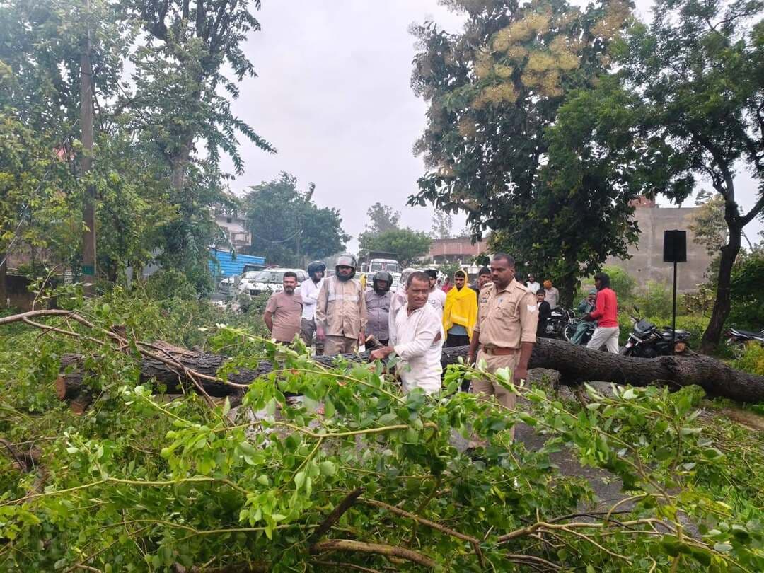बारिश के बीच महुली पुलिस बनी आमजन की मददगार, पेड़ हटाकर बाधित मार्गों को कराया सुचारू
संतकबीरनगर। लगातार हो रही बारिश और खराब मौसम के बीच आमजन की सुरक्षा एवं सुगम आवागमन को लेकर महुली पुलिस सक्रिय नजर आई। पेड़ गिरने से विभिन्न मार्गों पर आवागमन बाधित होने की सूचना मिलते ही पुलिस टीम ने तत्काल मौके पर पहुंचकर रास्ता साफ कराया।पुलिस अधीक्षक संतकबीरनगर संदीप कुमार मीना के निर्देशन में खराब मौसम को देखते हुए जनपद पुलिस द्वारा लगातार क्षेत्र में भ्रमण एवं निगरानी की जा रही है। इसी क्रम में पिछले दो-तीन दिनों से हो रही बारिश के कारण थाना महुली क्षेत्र के विभिन्न स्थानों पर पेड़ गिरने से सड़क पर आवागमन प्रभावित होने की स्थिति उत्पन्न हुई।सूचना प्राप्त होते ही महुली पुलिस ने बिना देरी किए मौके पर पहुंचकर सड़क पर गिरे पेड़ों को हटवाने एवं कटवाने की कार्रवाई कराई। पुलिस की तत्परता से बाधित मार्गों को शीघ्र ही साफ कराकर आमजन के लिए आवागमन सुचारू कराया गया।खराब मौसम के दौरान पुलिस की इस त्वरित कार्रवाई से राहगीरों को राहत मिली। पुलिस द्वारा लोगों से भी बारिश के दौरान सावधानी बरतने तथा किसी प्रकार की बाधा या आपात स्थिति होने पर तत्काल पुलिस को सूचना देने की अपील की गई।#uppollic #संतकबीरनगर