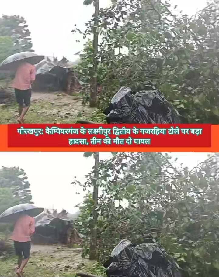 🚨 ब्रेकिंग न्यूज़ | कैंपियरगंज में दर्दनाक हादसा
🌧️ भीषण बारिश-आंधी के बीच झोपड़ी पर गिरा पेड़, 3 लोगों की मौत
गोरखपुर के कैंपियरगंज तहसील क्षेत्र के लक्ष्मीपुर द्वितीय ग्राम पंचायत के गजरहिया टोले में शनिवार को तेज बारिश, आंधी और तूफान के दौरान झोपड़ी पर विशाल पेड़ गिर गया। हादसे में झोपड़ी के अंदर मौजूद चार लोग दब गए।
😢 हादसे में तीन लोगों की मौत हो गई, जबकि एक व्यक्ति गंभीर रूप से घायल है। घायल को कैंपियरगंज सीएचसी से बीआरडी मेडिकल कॉलेज, गोरखपुर रेफर किया गया है।
मृतकों की पहचान किशन (13), सुभाष (45) और ज्ञानमती (40) के रूप में हुई है।
घटना की सूचना पर पूर्व कैबिनेट मंत्री एवं वर्तमान लोकप्रिय एवं जनप्रिय क्षेत्रीय विधायक फतेह बहादुर सिंह मौके पर पहुंचे और राहत-बचाव कार्य का जायजा लिया। एसडीएम, तहसीलदार, लेखपाल, थाना प्रभारी समेत पुलिस-प्रशासन की टीम भी मौके पर मौजूद रही।
⚠️ हादसे के बाद गांव में मातम पसरा हुआ है। प्रशासन की ओर से आवश्यक कार्रवाई की जा रही है।
Public maharajganj #NewsUpdate
#BreakingNews #Gorakhpur #Campierganj #Lakshmipur2 #GorakhpurNews #UPNews #RainAlert #बारिश #आंधी #दर्दनाकहादसा #महराजगंज #PublicMaharajganj #NewsUpdate #viralnews