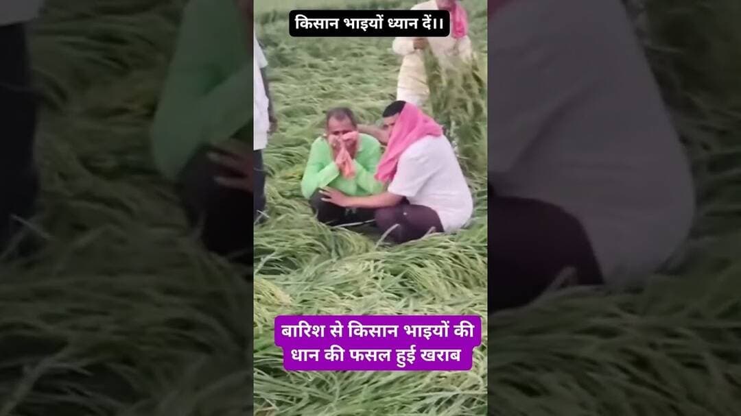 किसान भाइयों ध्यान दें।। #कोटा #food #kotablogger #funny #motivation #gk #kota